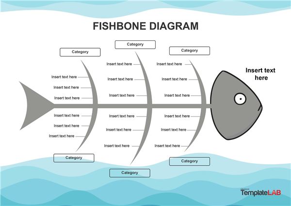 Fishbone Lab Diagram