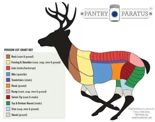 Elk Cuts Of Meat Diagram