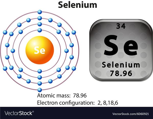 Dot Diagram For Selenium